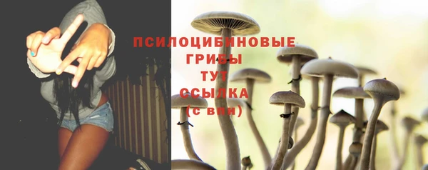 прущий лед Дмитров