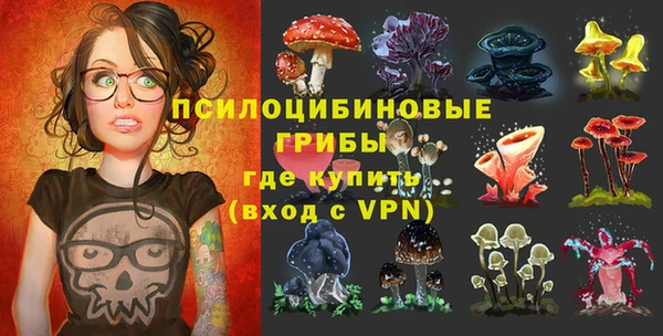 метадон Дмитриев