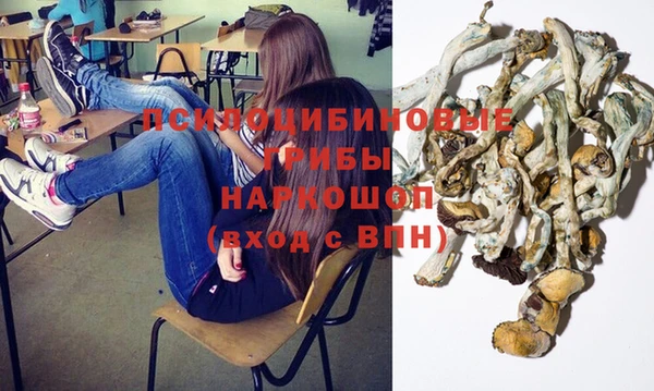 метадон Дмитриев