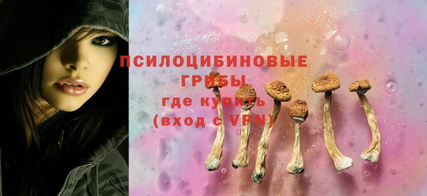 прущий лед Дмитров