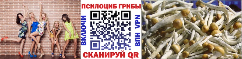 Псилоцибиновые грибы Psilocybe  kraken как войти  Володарск 